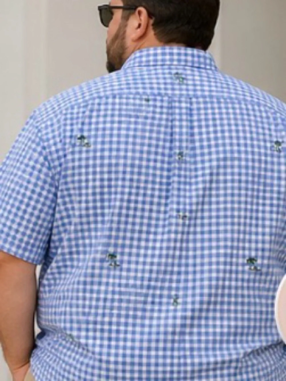 Polo Ralph Lauren Blue Gingham Palm Tree Embroidered Shirt Men’s 3XL
